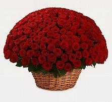 Премиум букет из: Розы в Массандре